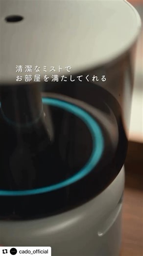 SUU_sapporo on Instagram: "只今すぐに出荷可能です🎄 残り在庫わずかです✨ cado独自のクリーンヒート機能が、自動で加熱除菌を繰り返し、1シーズンお手入れ不要の「オートクリーン加湿器」です。 ◾️加熱除菌 ◾️1シーズンお手入れ不要 ◾️1/6の電気代 清潔が続くから、こまめなお手入れいらず。 ◾️オートクリーンのしくみ 1. 電源コードを接続し運転を開始すると、約30分後に初回の加熱動作がスタート。 2. 加熱運転は約1時間行われ、その後は水位がある限り12時間ごとに自動で繰り返されます。 3. 電源をOFFにしていても、コンセントが接続され水槽内に水がある場合は、自動で加熱運転が行われます。 ▼cado 加湿器 STEM 500H クールグレー・ホワイト ¥33,000 ▼キナリノモールにて販売中です https://mall.kinarino.jp/item-208241 #suu_sapporo #cado #カドー #加湿 #加湿器 #加湿器購入 #シンプル家電 #デザイン家電 #スマート家電 #家電好き #おしゃれ家電 #便利家電 #心地よい暮