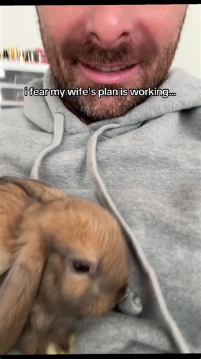 Finding Good Homes for Bunnies
