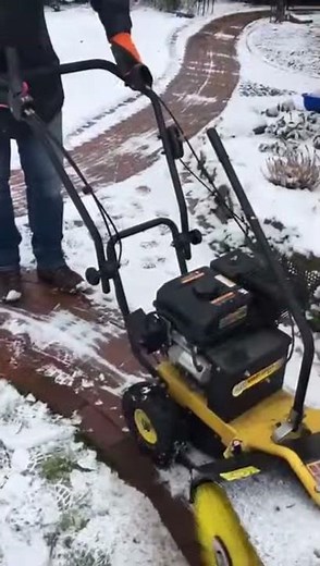 Kehrmaschine Texas Handy Sweep 600 mit Elektrostarter