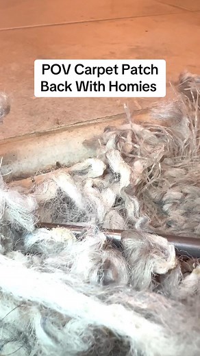 Reunited and it feels so good | The Carpet Repair Guys