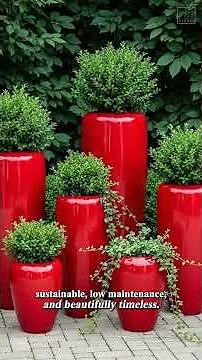 🌿 Why Concrete Planters Are the Future of Modern Gardening