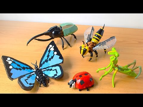 LEGO Insect Collection - IT'S ON LEGO IDEAS!!!! Check the description to support it!