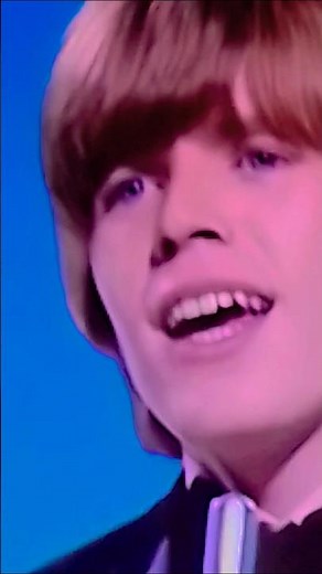 Herman's Hermits - There's A Kind Of Hush (1967)