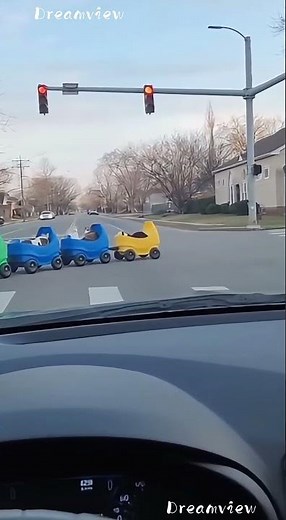 The Most Adorable Cat Wagon Parade at a Red Light 🚦🐾🎨