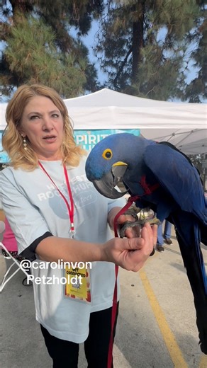 FEAR OF BIRDS is a real thing! After holding my Bird This Lady got so scared! #fear #birds #scared #crazy #parrots | Carolin von Petzholdt