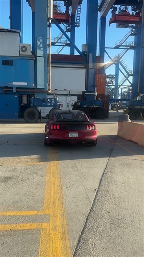 CATLESS MUSTANG GT COLD START #shorts