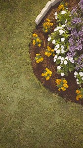 Pick up vibrant flowers selected to thrive in your climate from the Garden Center. | The Home Depot