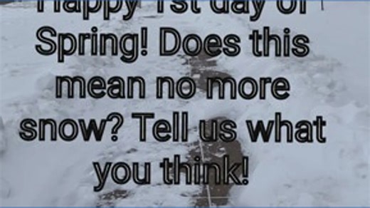 Happy Spring in Connecticut!