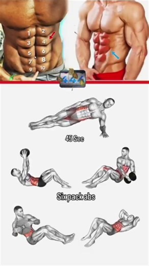 six pack abs exercises #shorts #abs #sixpackabs #shortvideo #absworkout #gymlife #pushpendra46430