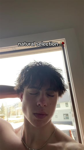 SB (@s.b.lift)â€™s videos with son original - đť€đťđť„đťŚâšˇ