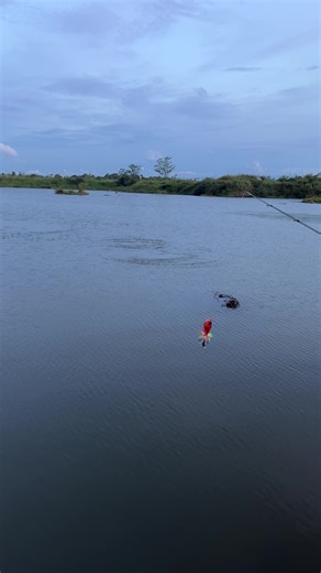 Micro Fishing Techniques for Goblin Grunt 7kg