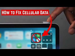 iPad Cellular Data Not Working? Try This