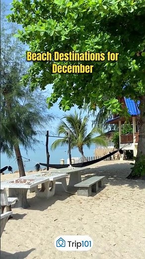 5 Best Beach Destinations to Visit This December 🏝️✨ #shortsvideo #shorts