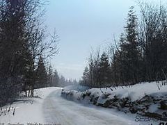 Sebastien Loeb Rally Evo confirmed for PC