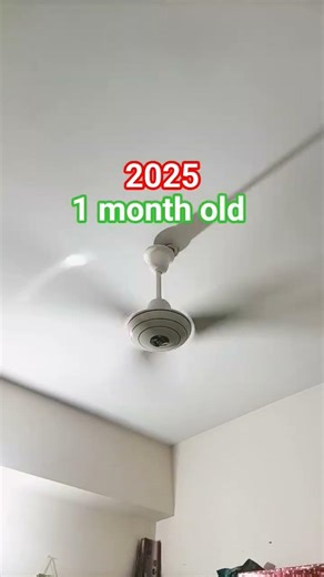 Which ceiling fan is nice? Write in comment.