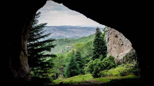 Ruta por un bosque único de pinsapos, el más grande y mejor conservado del mundo