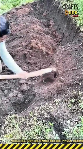 Manual Soil Shaping: Agricultural Ridge Building #dailywork #work #process #Farming