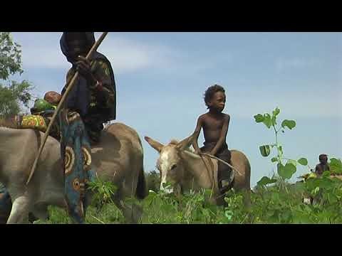 Chad Exodus Full Documentary