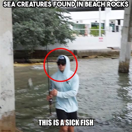 What Can We Find? 😱 | The Fish Guys