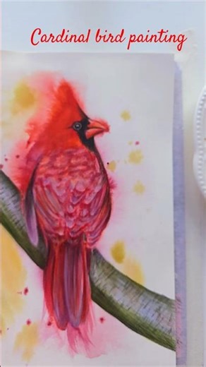 Painting a Bright Cardinal Bird with Watercolor and Arrtx Pencils is so Fun #art #drawing