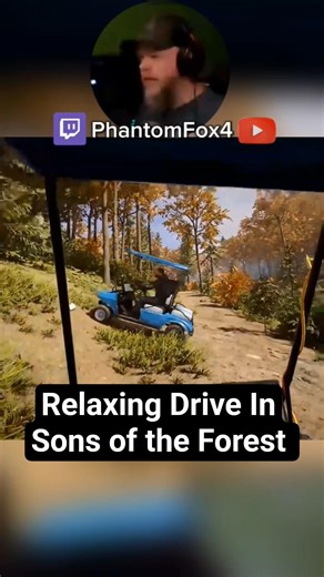 a relaxing drive #sonsoftheforest #sonsoftheforestgameplay #coopgaming #coophorror #jumpscare
