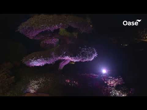 LunAqua Connect oase présenté par expert bassin