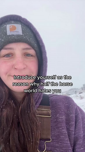 Understanding Horse Care: Winter Myths Explained