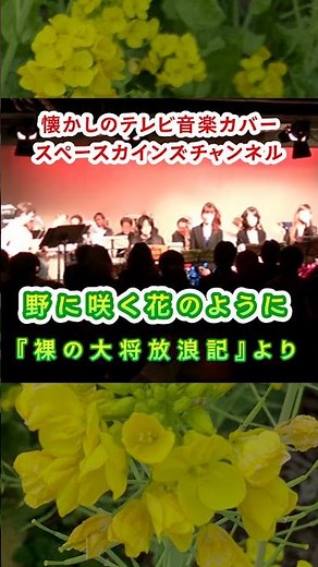 『裸の大将放浪記』(昭和55年/1980年) 主題歌「野に咲く花のように」ライブカバー/#スペースカインズ #ドラマ音楽 #shorts【SKCSNo.1195/懐かしいテレビ/ドラマ/SKL28】