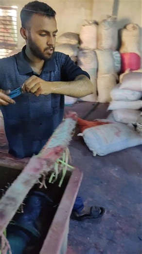 From Dirty Plastic to Clean Pellets ♻️ | USA Recycling Secrets