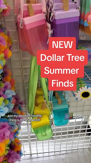 Discover Dollar Tree Summer Must-Haves and New Finds