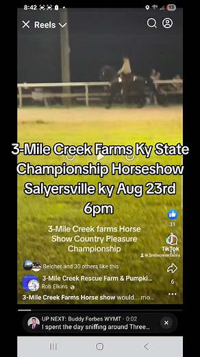3-Mile Creek Farms Ky State Championship Horseshow Salyersville ky Aug 23rd 6pm #horsesofinstagram | Rob Elkins