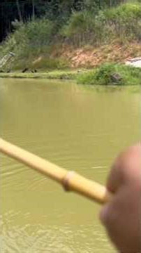 Landing net for your tilapia fishing trip #fishing