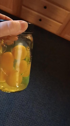 Doing things easier than we sometimes make it out to be. I scramble my eggs this way. No bowl or blender to clean up. Just crack.and shake. Soon protein treats at our salt cave. Text me 541-340-4606 to book your session or Gift Certificates. Angelina #hoodriversaltcave #hoodriverspa #hoodrivereats #hoodrivermassage #hoodriverhotel #hoodriver | Hood River Salt Cave