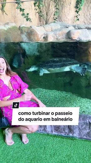 Dicas para Aproveitar o Aquário em Balneário Camboriú