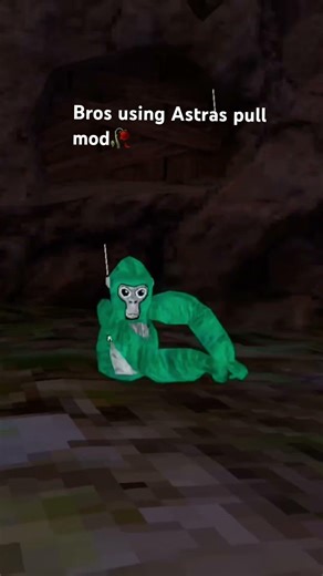 Long arms and pull mod ✌️🥀💀 #gorillatag #amnewbutnottheleast #vr #gtag