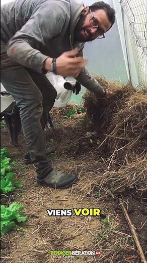 🌱 Perfect Endives: The Secret to Growing in the Dark 🌑