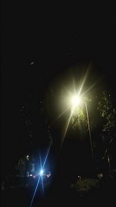 money money song 👑❤️‍🩹🤑🤑 #shorts