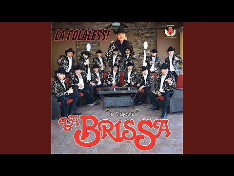 La Colaless