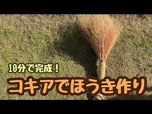 初心者でもできるコキアを使ったほうきの作り方。