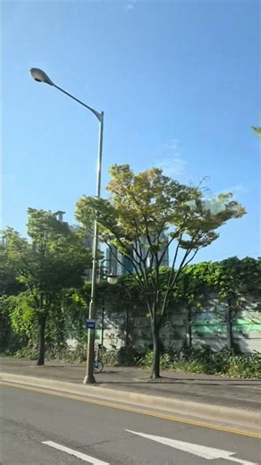 임윤찬 피아노 베토벤 황제 2악장#클래식#릴렉스#감동#일상#아침풍경