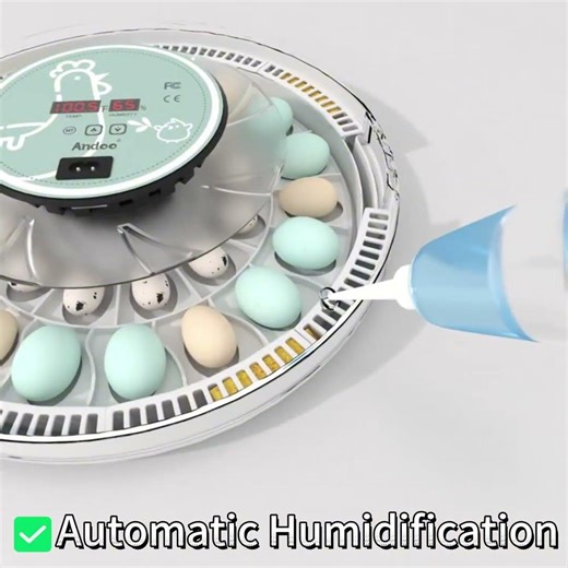 Best Beginner Incubator: Auto Temp, Turn Humidity for Healthy Chicks 🐥