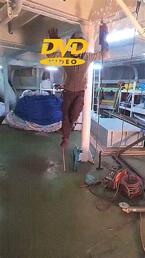 DVD Video on Instagram: "📀A DVD Video is a digital optical disc format that was the primary medium for distributing and watching movies at home from the late 1990s through the 2000s, effectively replacing the VHS tape. In simple terms, it's a disc, similar in size to a CD, designed specifically to store and play back video content on a DVD player or a computer with a DVD drive. #dvdvideo #dvd #fy #fyp #viral"