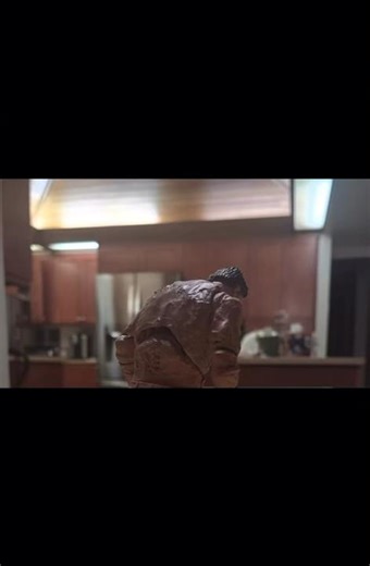 Terminator VS Terminator short stop motion