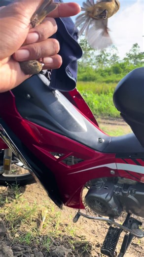 Catch & release😁✅💯 #fyp #viral #nature