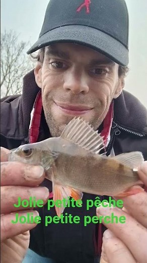 cette après midi au carnassier perche en étang. deux prises premier poissons 2026 #pêche #fishing