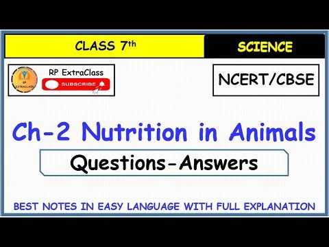 Class 7 Science Chapter 2 Nutrition in Animals Question-Answers