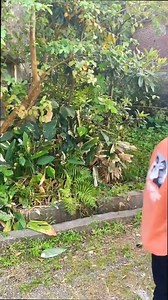 2.5K views · 59 reactions | The best funny chinese guys#funny #memes #meme #funnymemes #lol #dankmemes #comedy #fun #love #memesdaily | Revee | Facebook