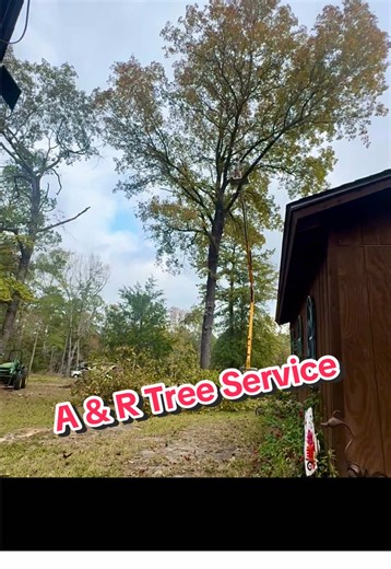 @Tree surgeon Just another work day!!! Took down a large hickory that was leaning heavy over a garage! #treework #easttexas #treefelling #hubbywifey #teamwork