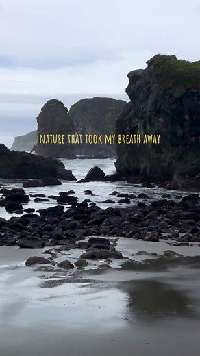 Leave me in the mist & moss covered trees #pnw #washington #twilight #oregon #oregoncoast #pnwlife #moss #darkaesthetic #wa #or #fyp