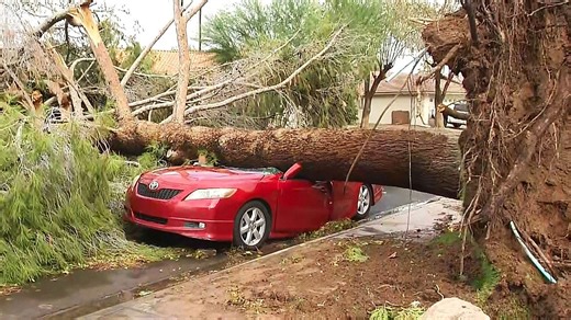 Powerful microburst damages homes and topples trees in Arizona